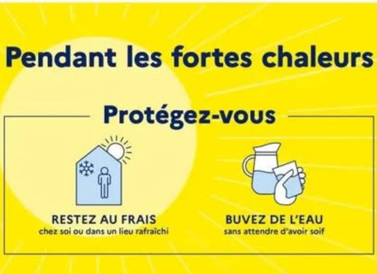 Maraude chaleur