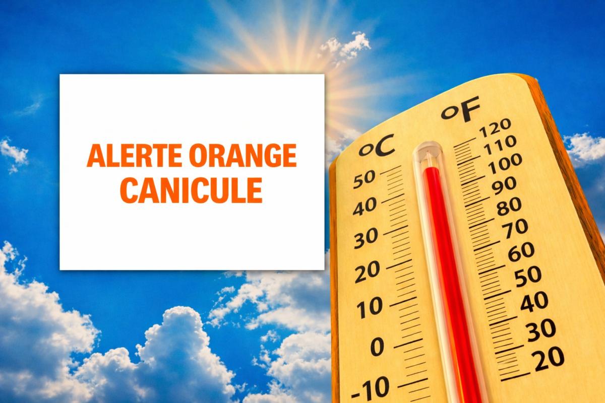 Alerte orange canicule à compter du 7 juillet, midi.
