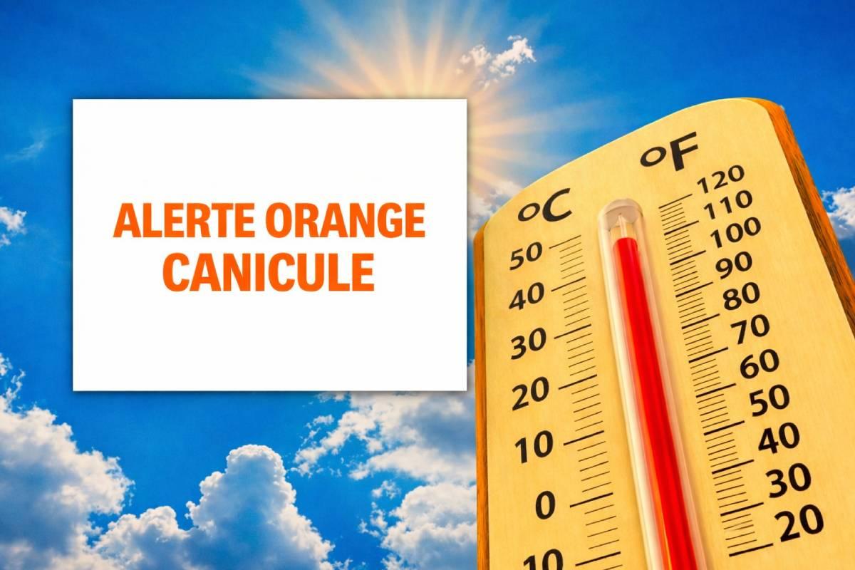 Alerte Orange Canicule