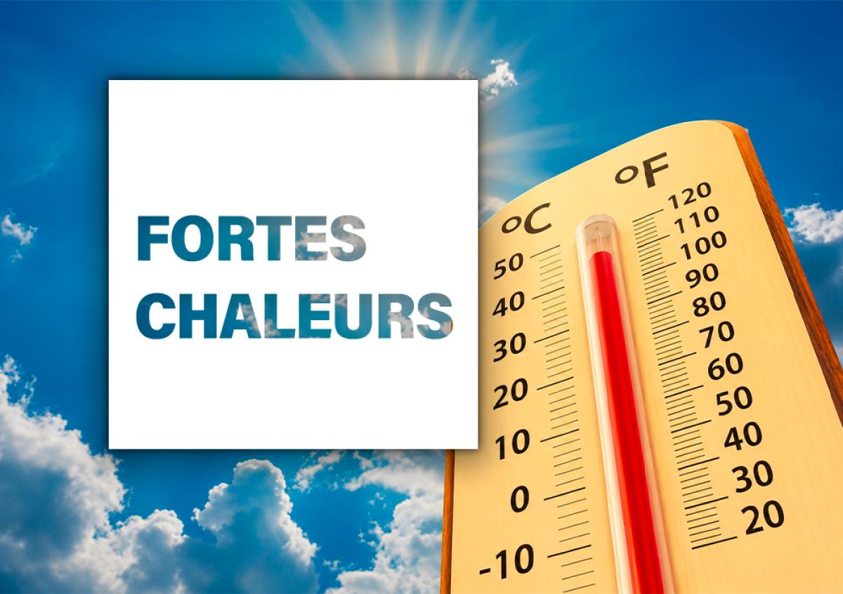  Fortes chaleurs : dispositif dans les écoles 