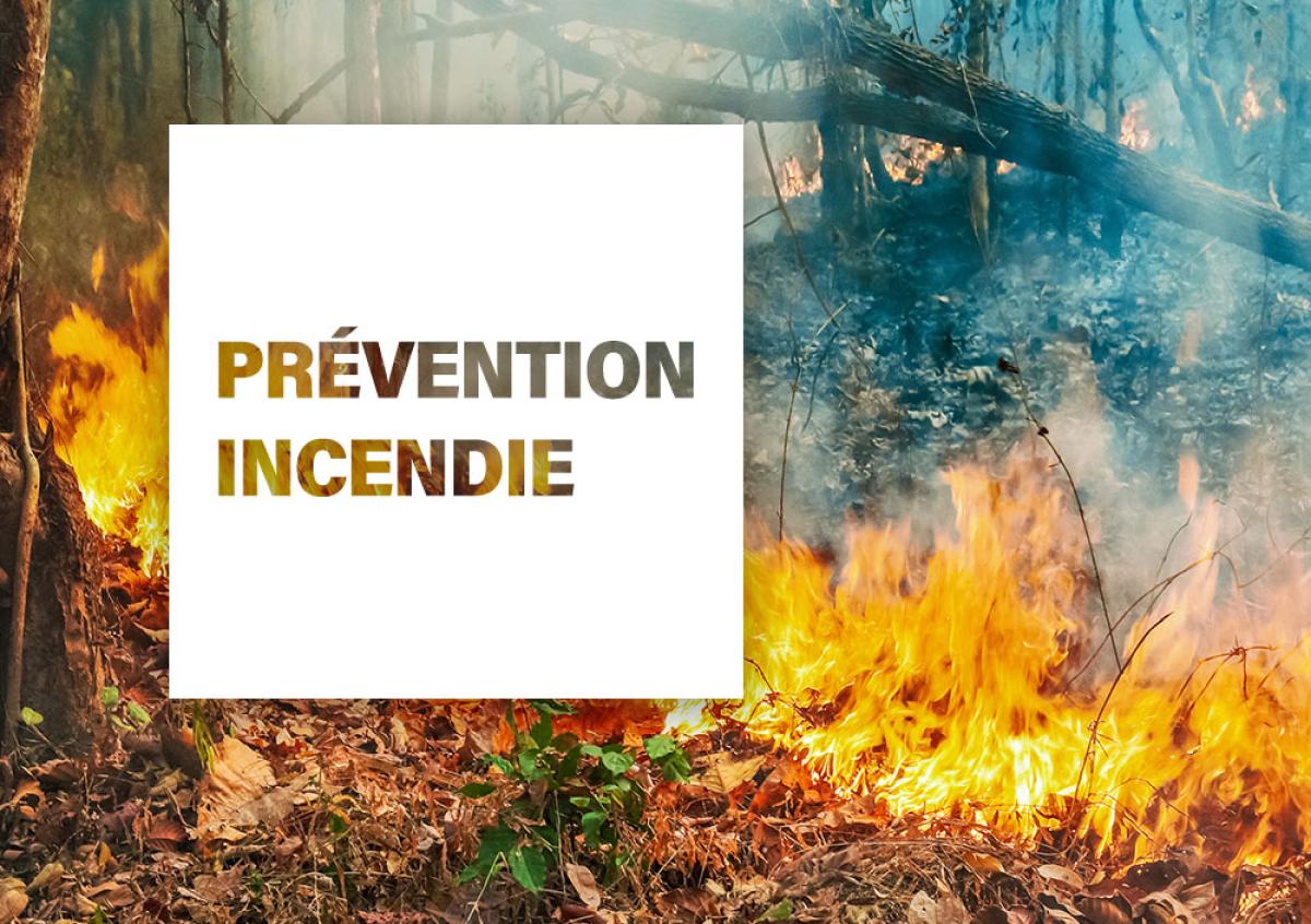 Arrêté préfectoral  prévention des incendies de forêt et de végétation en Loir-et-Cher